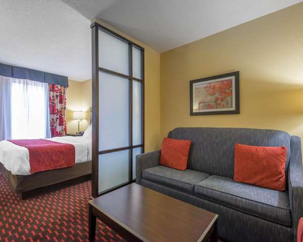 Suite - Comfort Suites Altoona