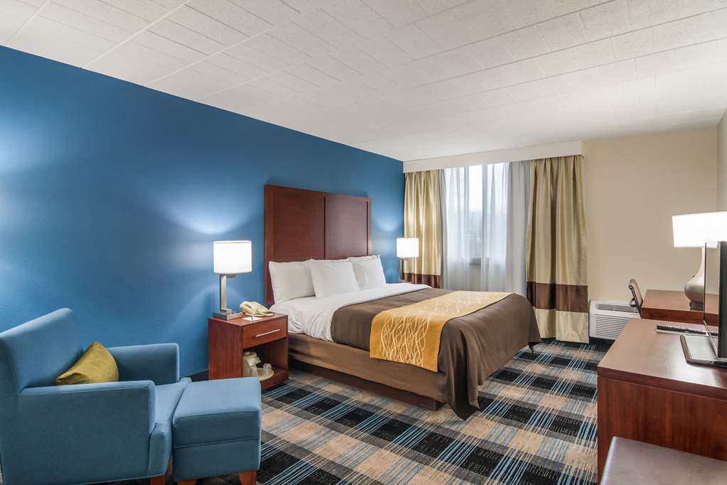 COMFORT INN AND SUITES PITTSBURGH F-guestroom-Guest Room,On-Site.jpg