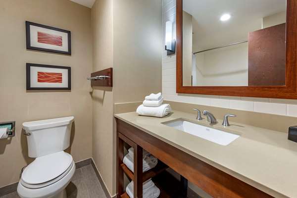 Suite - Comfort Inn & Suites Pittsburgh