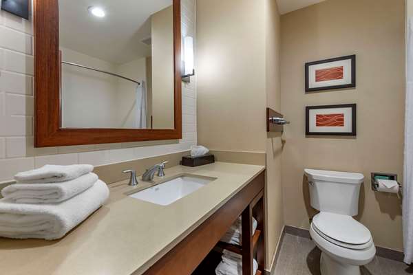 Suite - Comfort Inn & Suites Pittsburgh