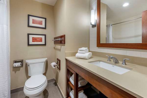  - Comfort Inn & Suites Pittsburgh