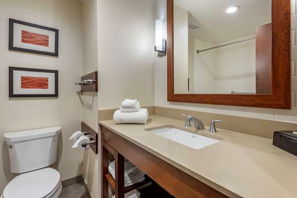  - Comfort Inn & Suites Pittsburgh