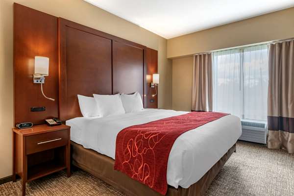 Suite - Comfort Suites Manheim