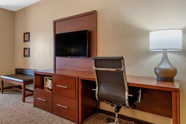 Suite - Comfort Suites Manheim