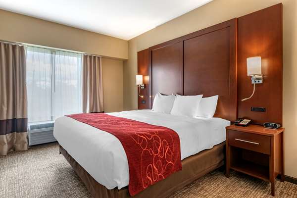 Suite - Comfort Suites Manheim