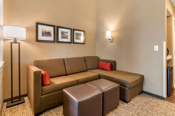 Suite - Comfort Suites Manheim