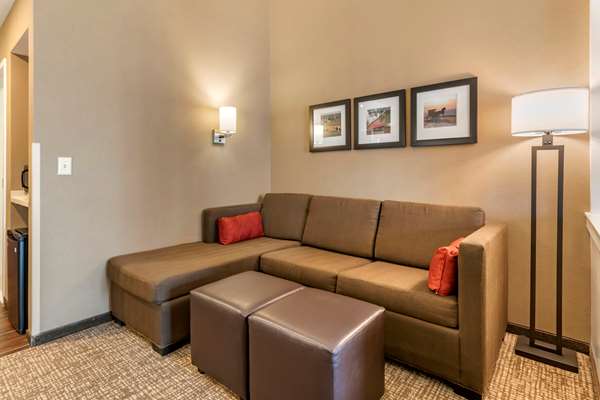 Suite - Comfort Suites Manheim