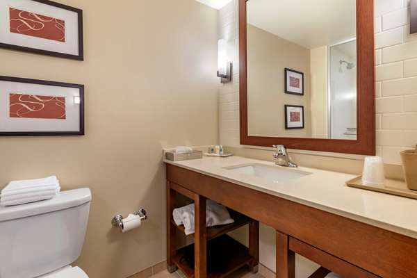 Suite - Comfort Suites Manheim