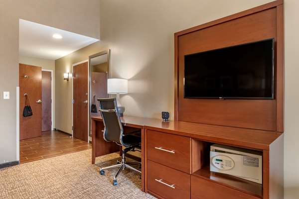 Suite - Comfort Suites Manheim
