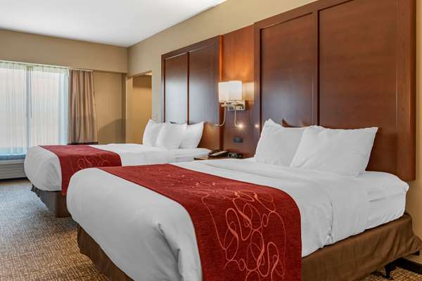 Suite - Comfort Suites Manheim