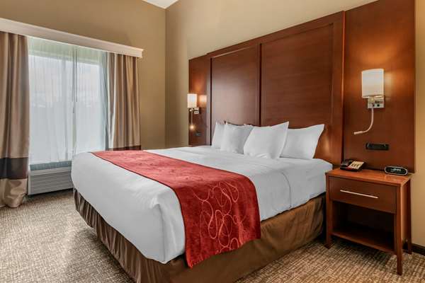 Suite - Comfort Suites Manheim