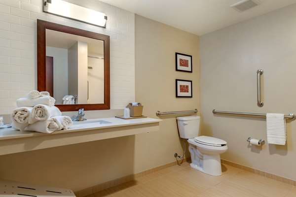 Suite - Comfort Suites Manheim