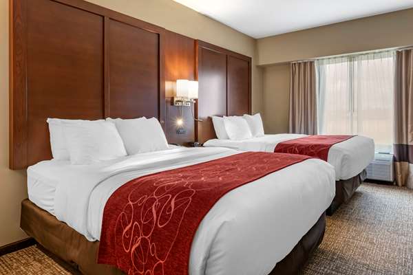 Suite - Comfort Suites Manheim