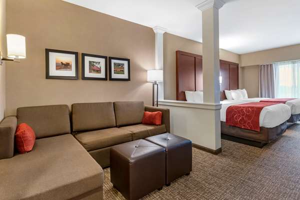 Suite - Comfort Suites Manheim