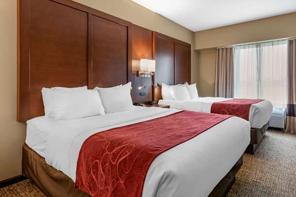 Suite - Comfort Suites Manheim