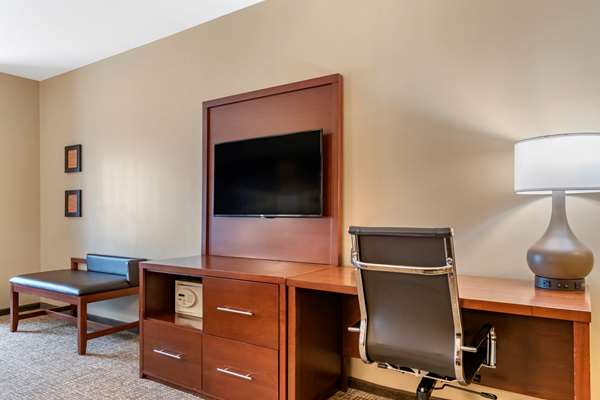 Suite - Comfort Suites Manheim