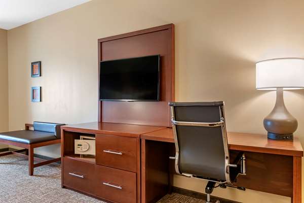 Suite - Comfort Suites Manheim