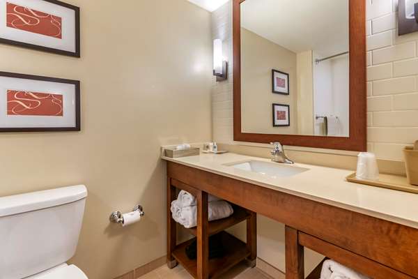 Suite - Comfort Suites Manheim