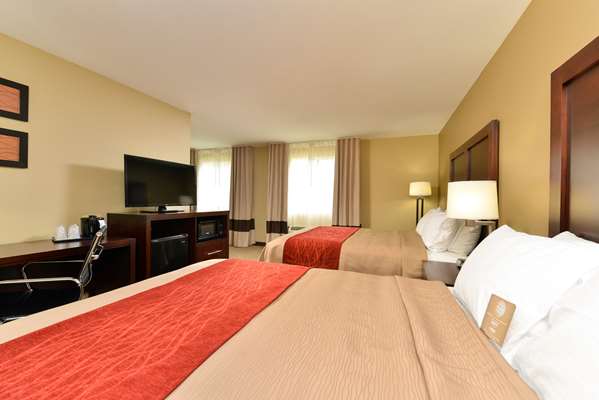 Suite - Comfort Inn & Suites Manheim - I-76, Exit 266
