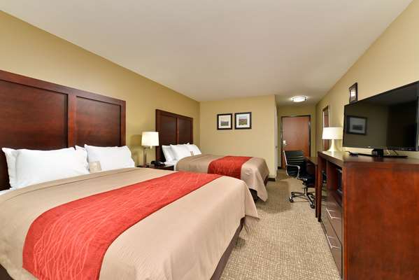 Suite - Comfort Inn & Suites Manheim - I-76, Exit 266