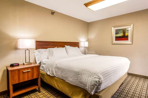 Suite - Clarion Inn Cranberry Township - I-79, Exit 78