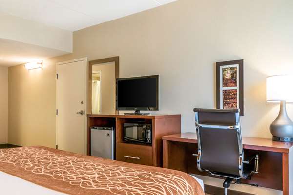  - Comfort Inn Scotland - I-81, Exit 20