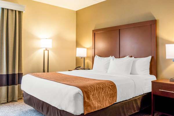  - Comfort Inn Scotland - I-81, Exit 20