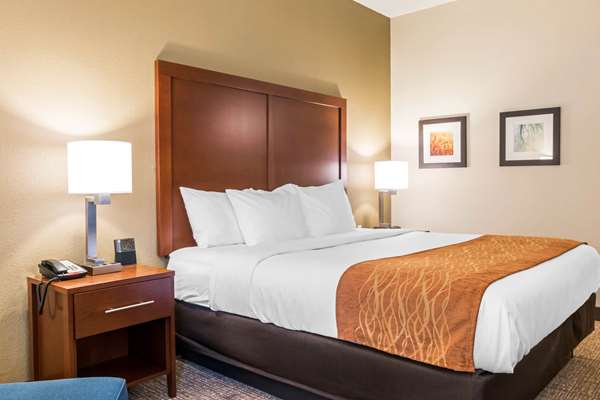 - Comfort Inn Scotland - I-81, Exit 20