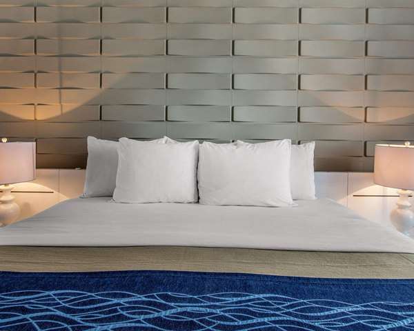 Suite - Comfort Inn & Suites Levittown