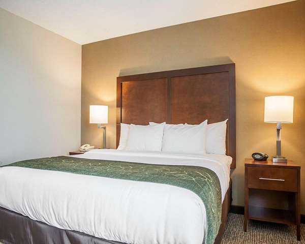 Suite - Comfort Suites West Warwick - I-95, Exit 24