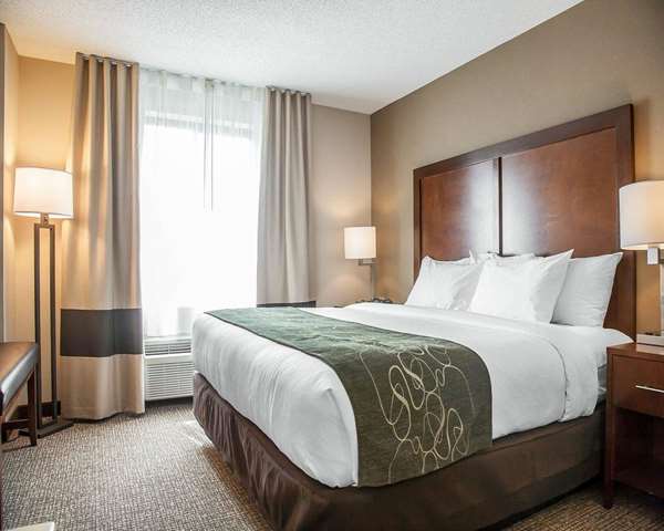 Suite - Comfort Suites West Warwick - I-95, Exit 24