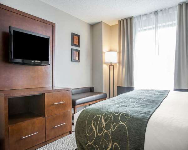 Suite - Comfort Suites West Warwick - I-95, Exit 24