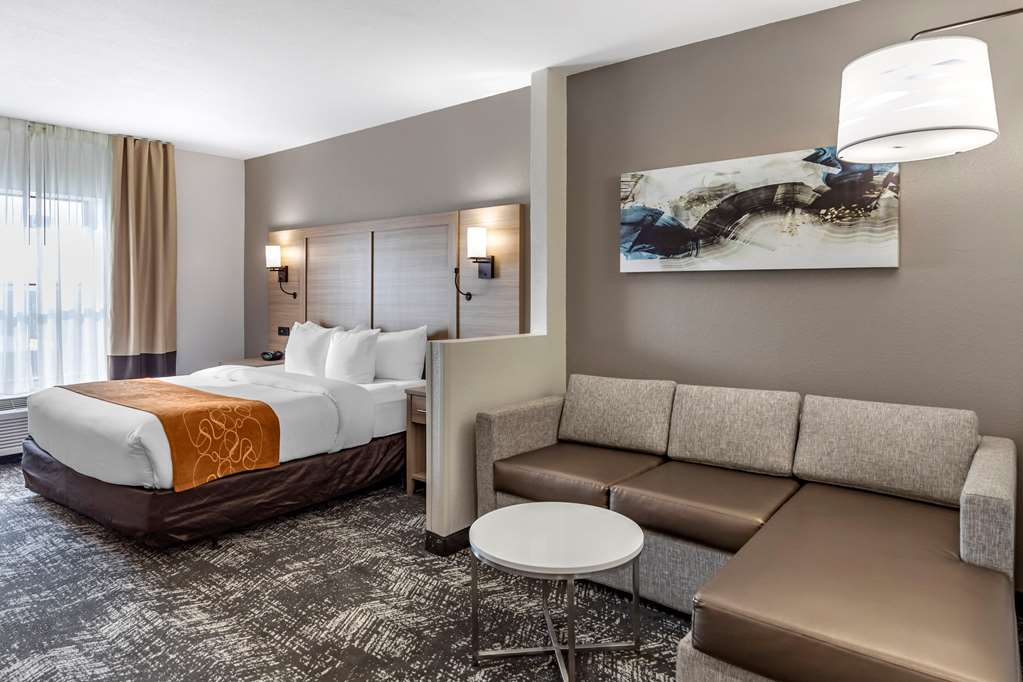 COMFORT SUITES ANDERSON-CLEMSON-guestroom-Guest Room,On-Site.jpg