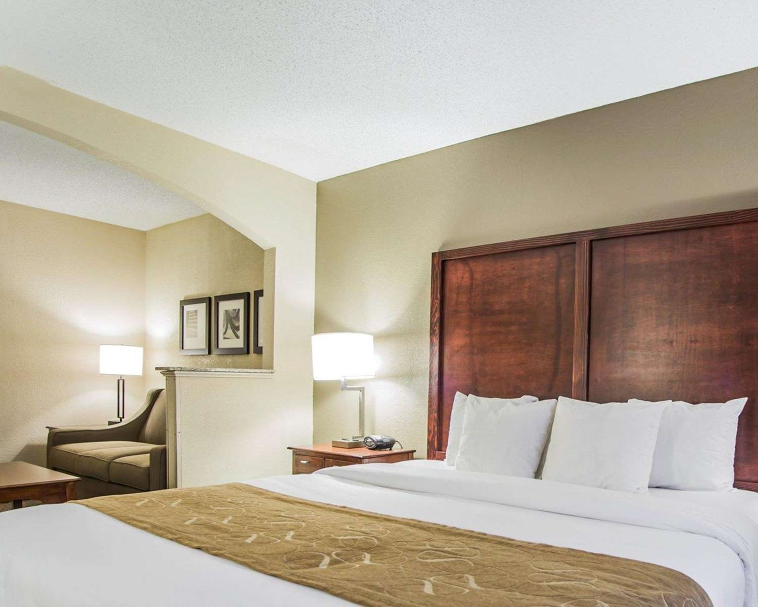 Comfort Suites Sumter Sc See Discounts