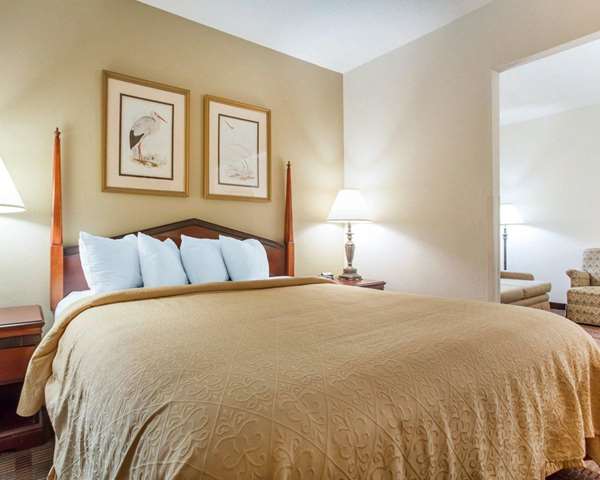 Suite - Comfort Inn & Suites Patriots Point Mt Pleasant - I-26, Exit US 17N