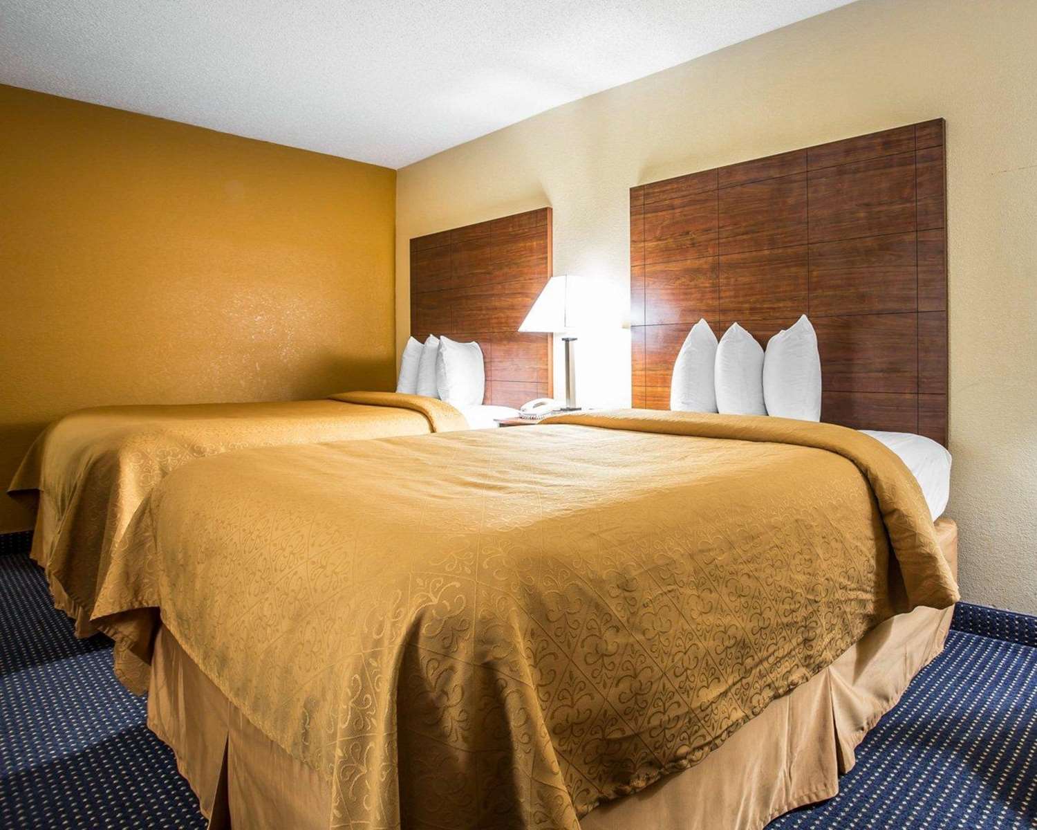 Quality Inn Mullins, SC See Discounts