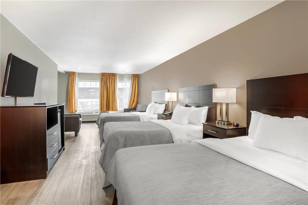 QUALITY INN SIMPSONVILLE-GREENVILLE-guestroom-Guest Room,On-Site.jpg