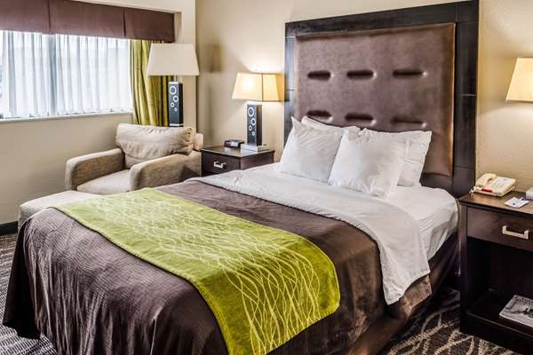  - Comfort Inn Riverview Charleston