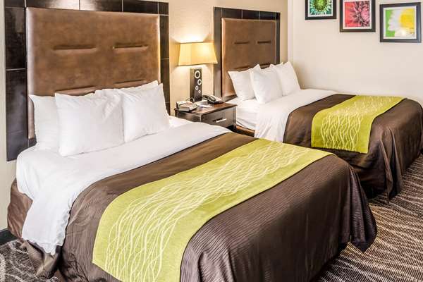  - Comfort Inn Riverview Charleston