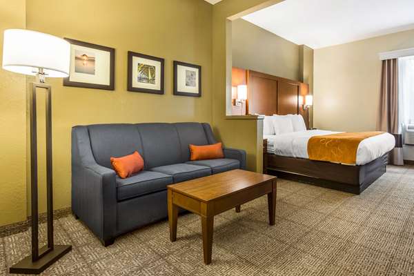 Suite - Comfort Suites Conway
