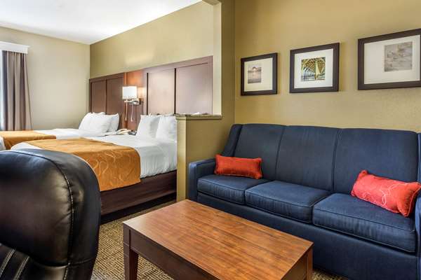 Suite - Comfort Suites Conway