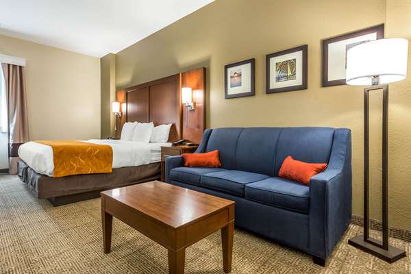 Suite - Comfort Suites Conway