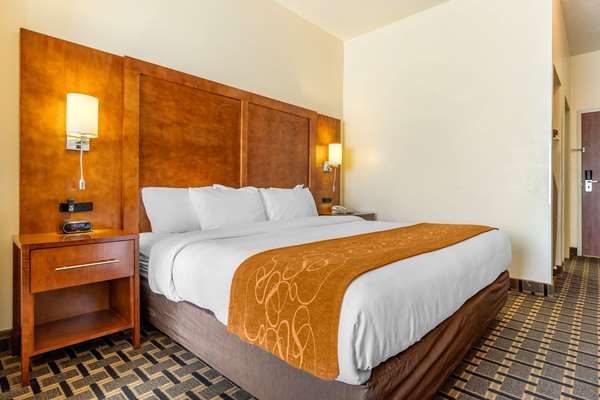 Suite - Comfort Inn Summerville - I-26, Exit 199A