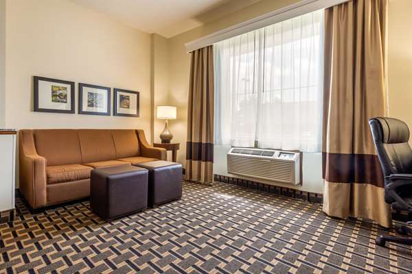 Suite - Comfort Inn Summerville - I-26, Exit 199A