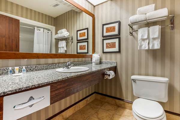Suite - Comfort Inn Summerville - I-26, Exit 199A