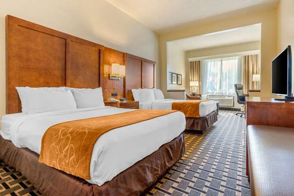 Suite - Comfort Inn Summerville - I-26, Exit 199A