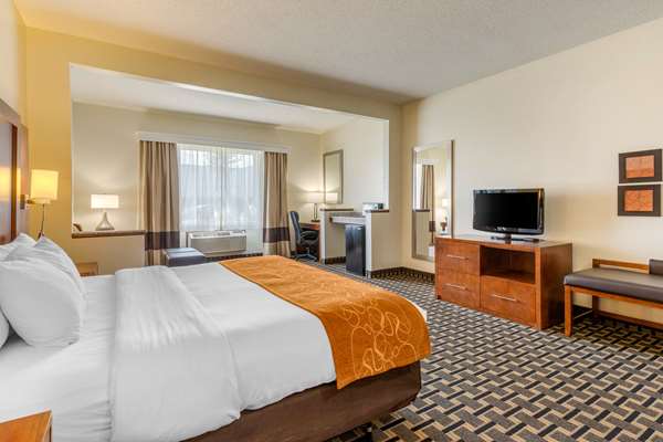 Suite - Comfort Inn Summerville - I-26, Exit 199A