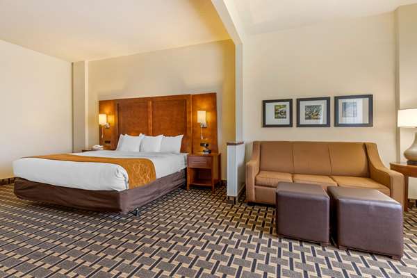 Suite - Comfort Inn Summerville - I-26, Exit 199A