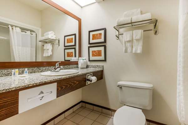 Suite - Comfort Inn Summerville - I-26, Exit 199A