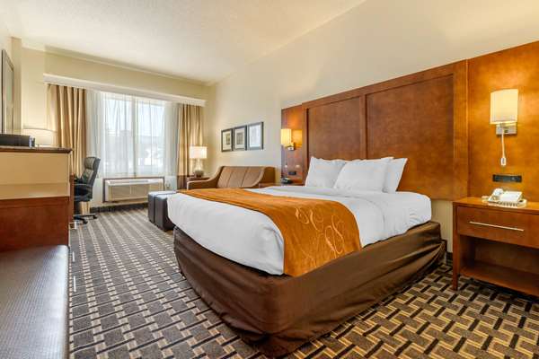 Suite - Comfort Inn Summerville - I-26, Exit 199A